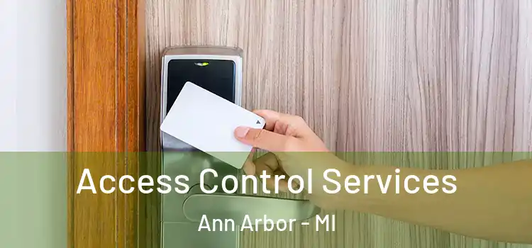  Access Control Services Ann Arbor - MI