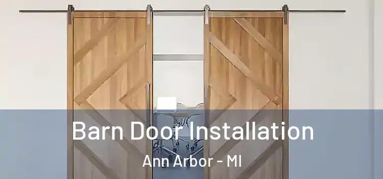 Barn Door Installation Ann Arbor - MI
