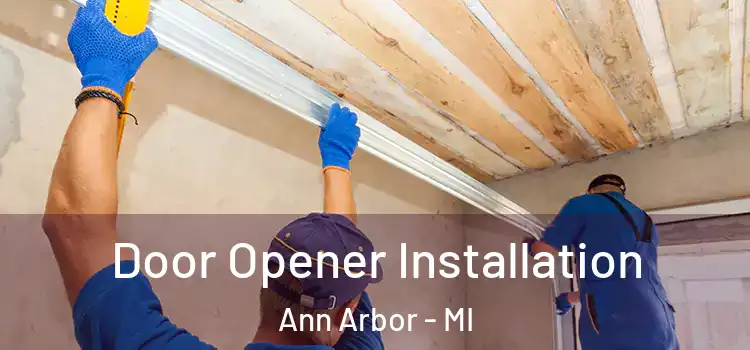  Door Opener Installation Ann Arbor - MI