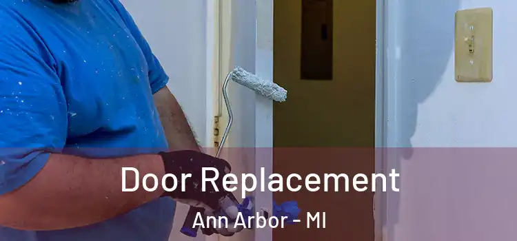  Door Replacement Ann Arbor - MI