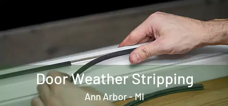  Door Weather Stripping Ann Arbor - MI