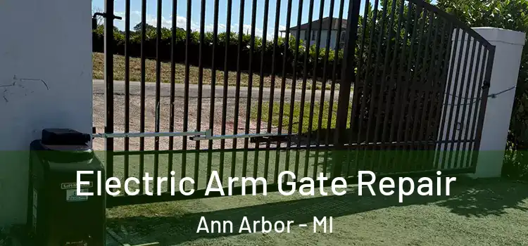  Electric Arm Gate Repair Ann Arbor - MI