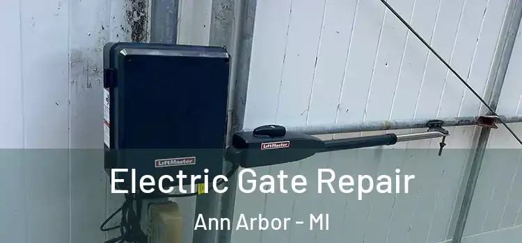  Electric Gate Repair Ann Arbor - MI