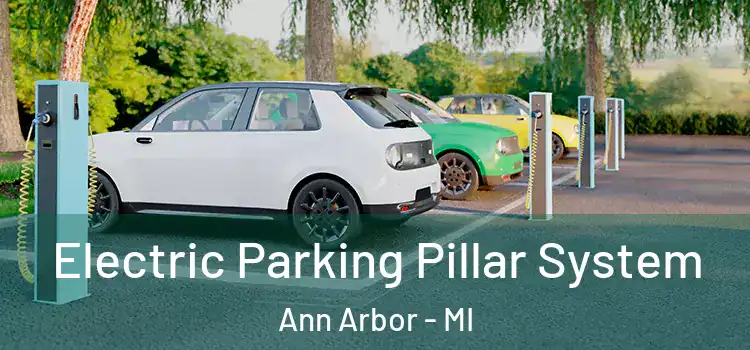  Electric Parking Pillar System Ann Arbor - MI