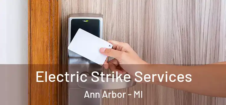  Electric Strike Services Ann Arbor - MI