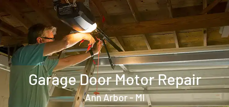  Garage Door Motor Repair Ann Arbor - MI