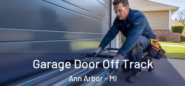  Garage Door Off Track Ann Arbor - MI