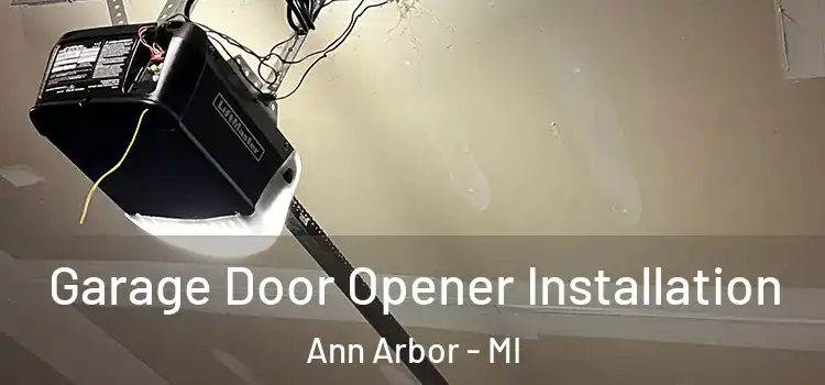  Garage Door Opener Installation Ann Arbor - MI