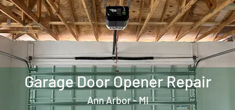  Garage Door Opener Repair Ann Arbor - MI