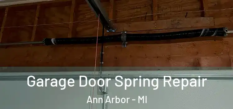  Garage Door Spring Repair Ann Arbor - MI