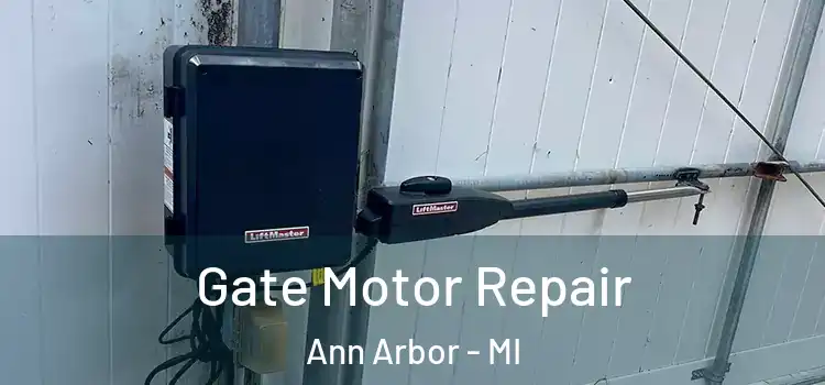  Gate Motor Repair Ann Arbor - MI