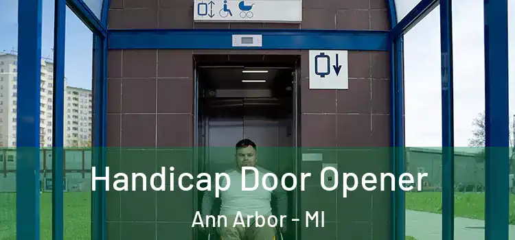  Handicap Door Opener Ann Arbor - MI