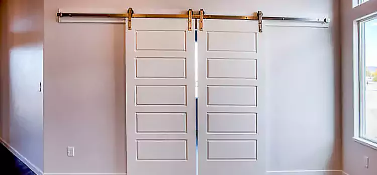 Glass Barn Door with Installation Hardware Kit Ann Arbor