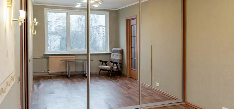 Mirror Closet Door Roller Replacement Ann Arbor