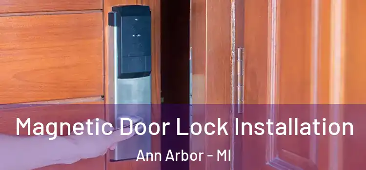  Magnetic Door Lock Installation Ann Arbor - MI