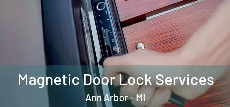  Magnetic Door Lock Services Ann Arbor - MI