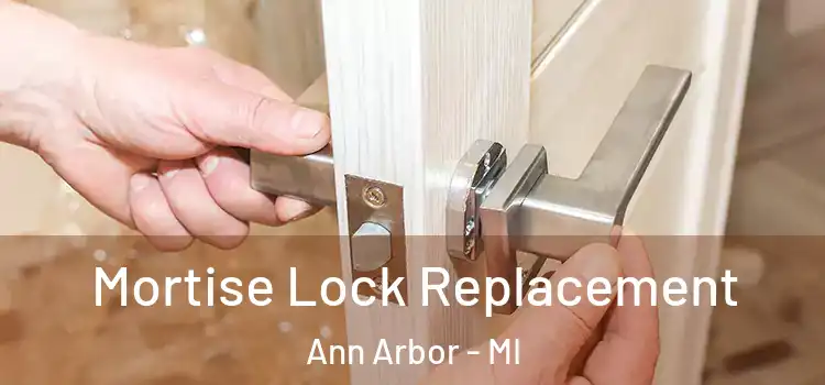 Mortise Lock Replacement Ann Arbor - MI