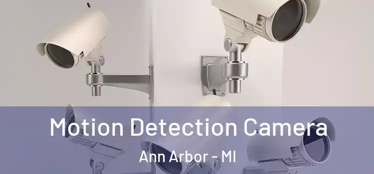  Motion Detection Camera Ann Arbor - MI