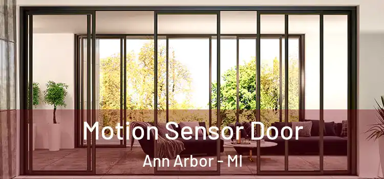  Motion Sensor Door Ann Arbor - MI