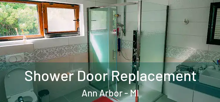 Shower Door Replacement Ann Arbor - MI