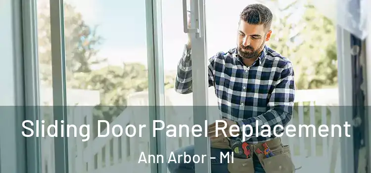  Sliding Door Panel Replacement Ann Arbor - MI