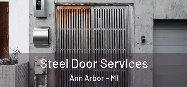  Steel Door Services Ann Arbor - MI